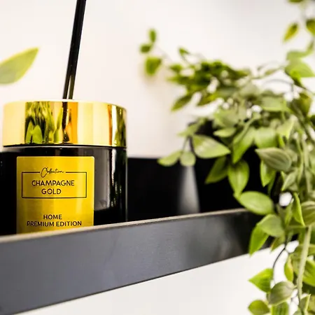 Metropolis Elegance 부쿠레슈티