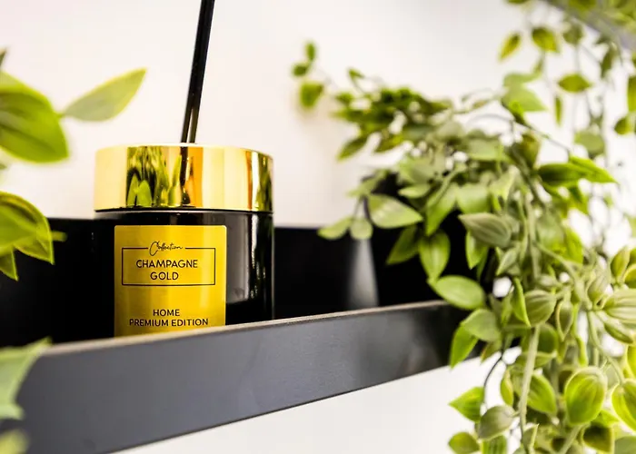 Metropolis Elegance Bucarest